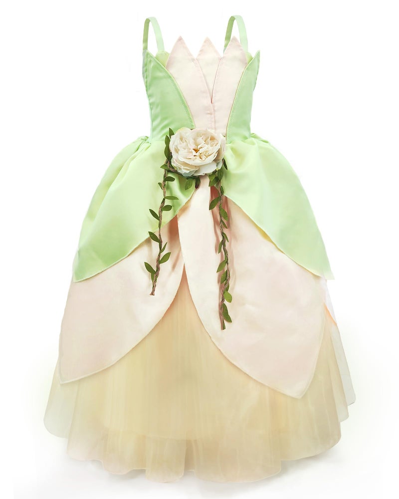 CQDY Princess Tiana Costume for Girls Fancy Fairy Frog Halloween Party Dress Up Toddler with Hair Accessories - Image 4